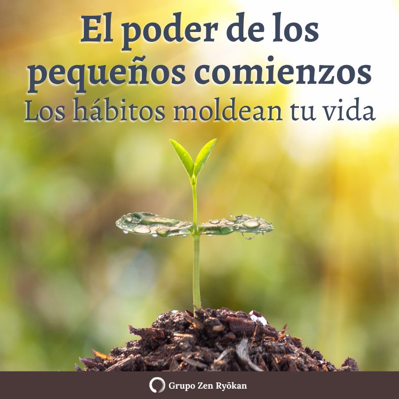 El poder de los pequeños comienzos y cómo los hábitos moldean tu vida ...